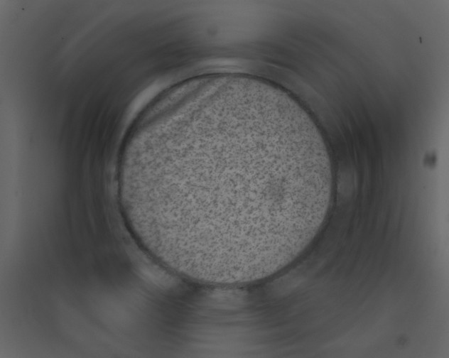 X0000089441466200707131856