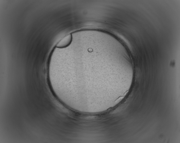 X0000089441467200707131856