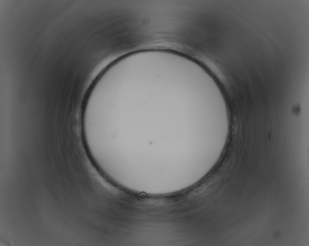 X0000089441468200707131856