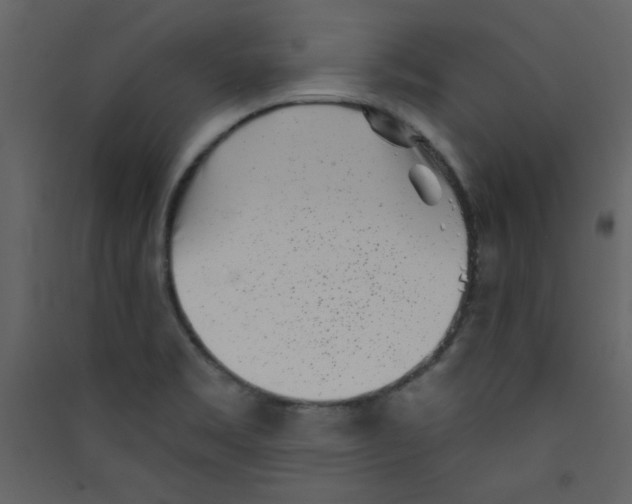 X0000089441469200707131856