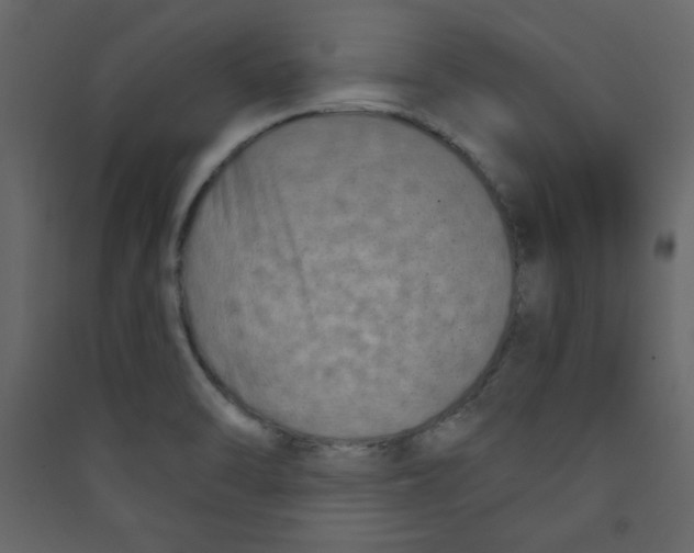 X0000089441470200707131856