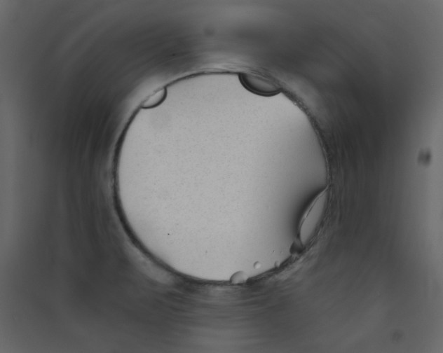 X0000089441471200707131856