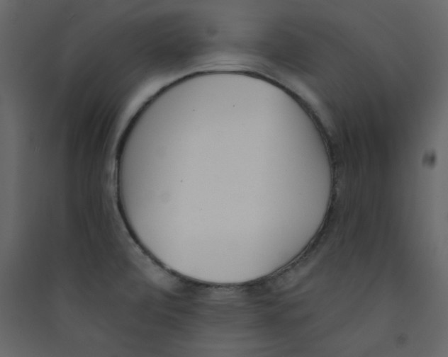 X0000089441472200707131856