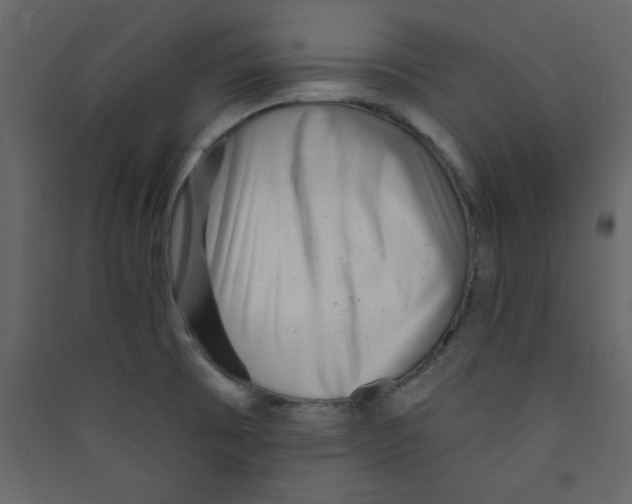 X0000089441473200707131856
