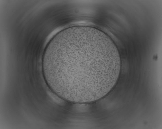 X0000089441474200707131856