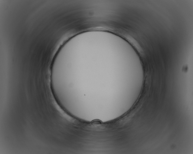 X0000089441476200707131855