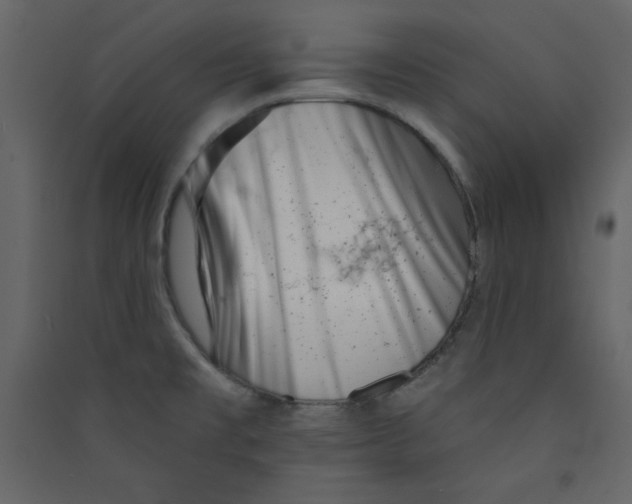 X0000089441477200707131855