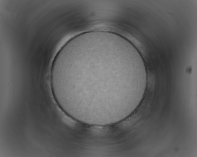 X0000089441478200707131855
