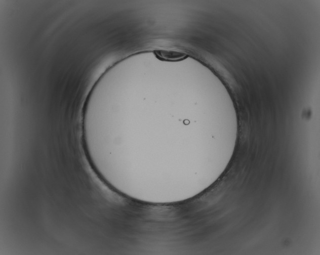 X0000089441479200707131855