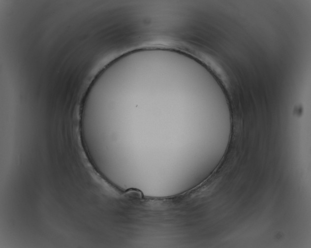 X0000089441480200707131855
