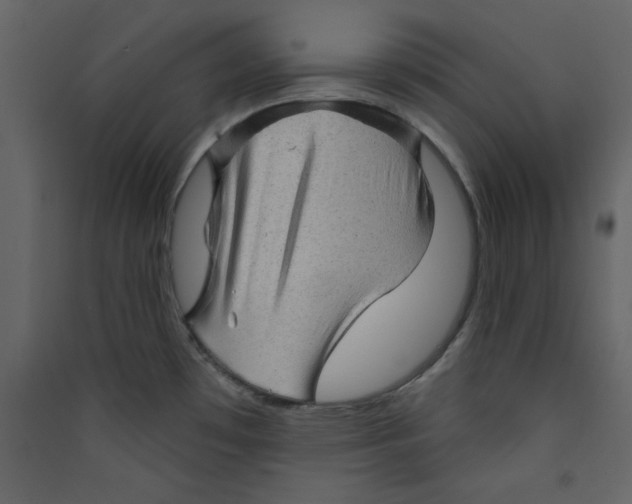 X0000089441481200707131855