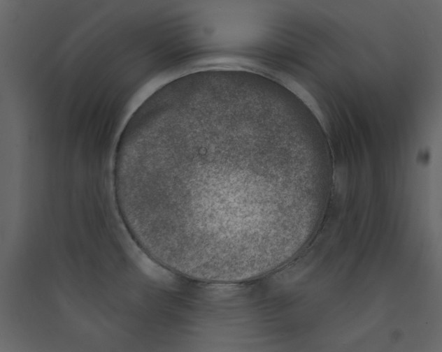 X0000089441482200707131855