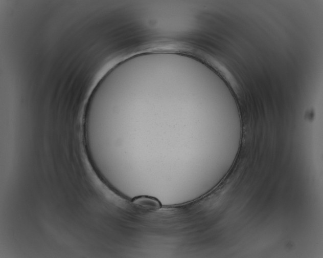 X0000089441483200707131855