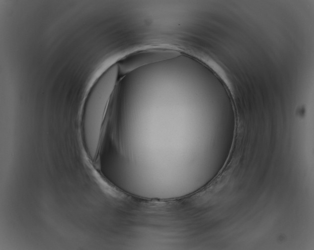 X0000089441485200707131855