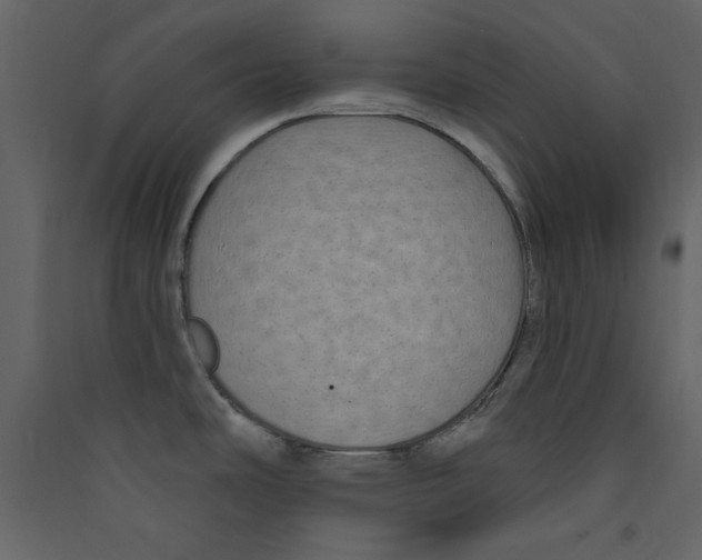 X0000089441486200707131855