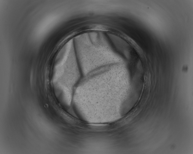 X0000089441487200707131855