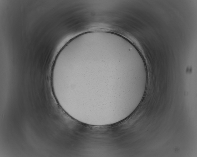 X0000089441488200707131855