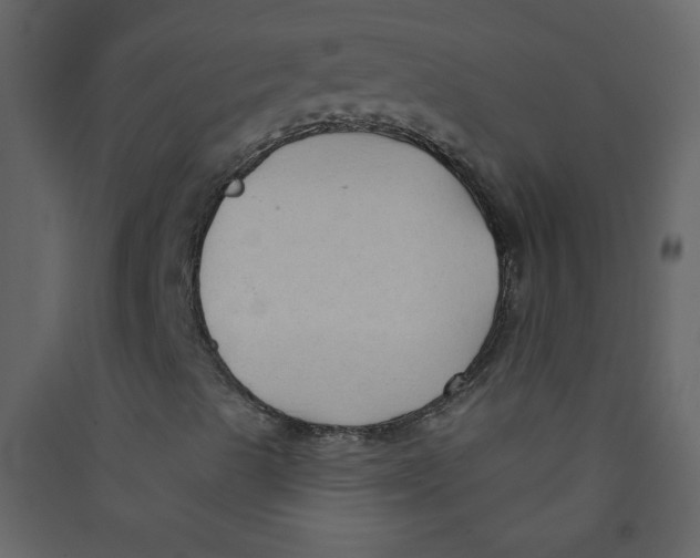 X0000089441489200707131855
