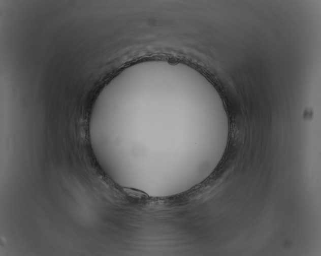 X0000089441490200707131855