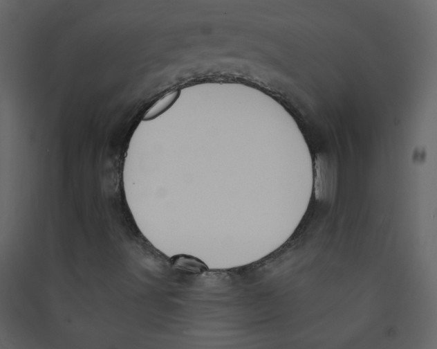 X0000089441491200707131855