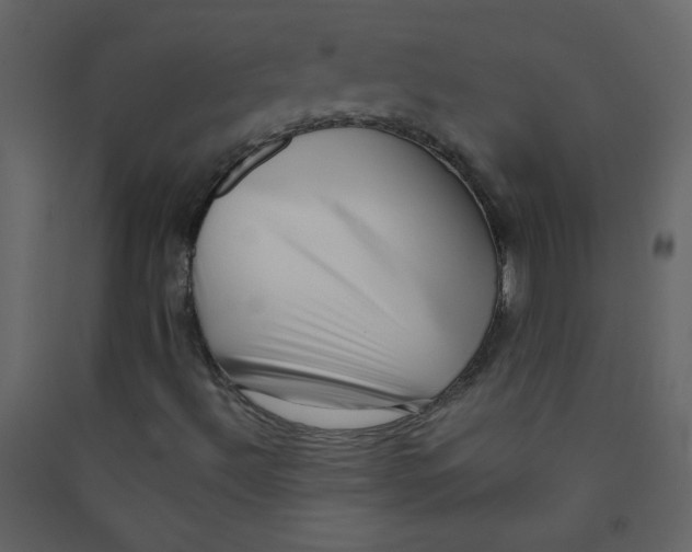X0000089441492200707131855