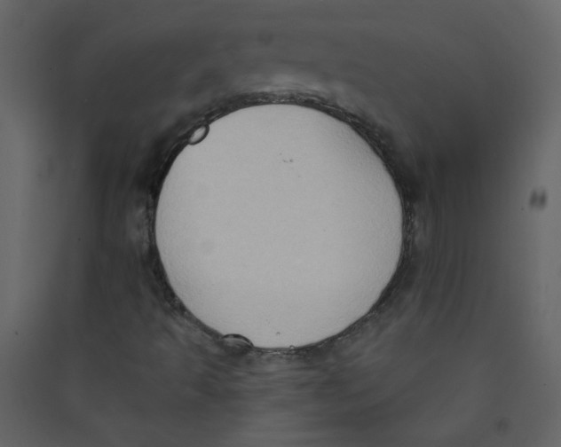 X0000089441493200707131855
