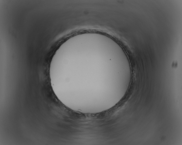 X0000089441494200707131855