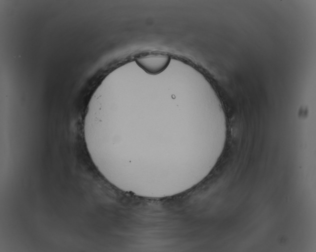 X0000089441495200707131855