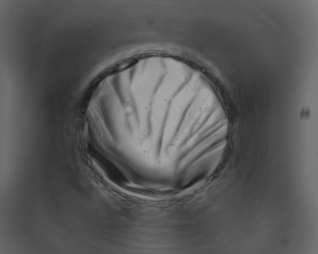 X0000089441496200707131855