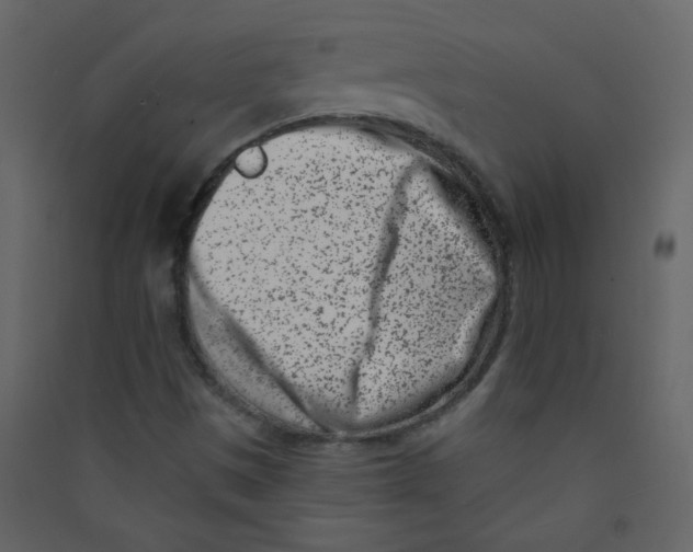 X0000089441497200707131855