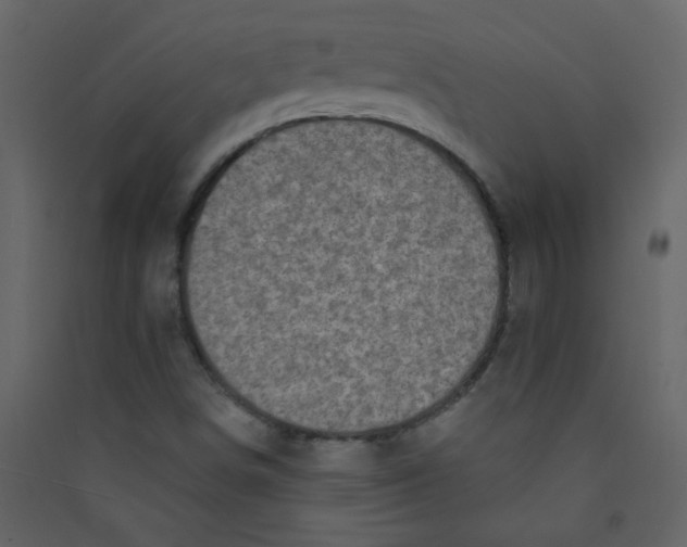 X0000089441498200707131855
