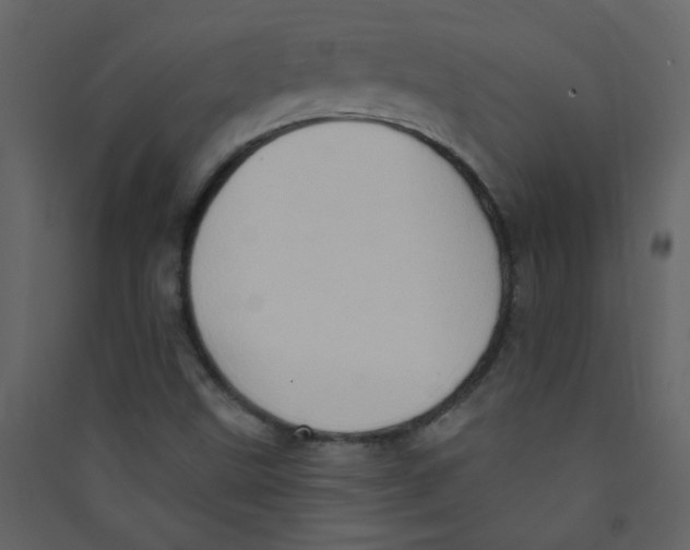 X0000089441499200707131855