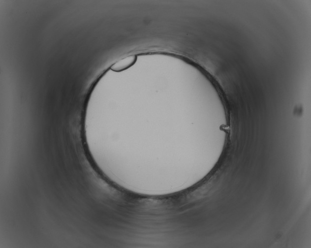 X0000089441500200707131855