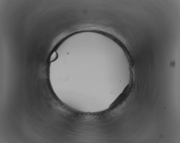 X0000089441501200707131855