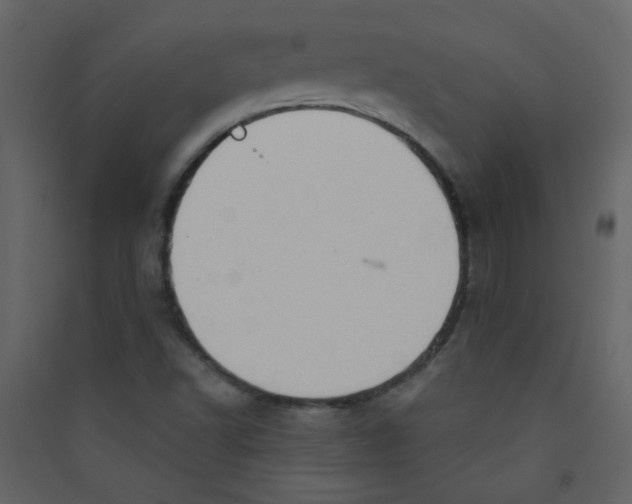 X0000089441502200707131855