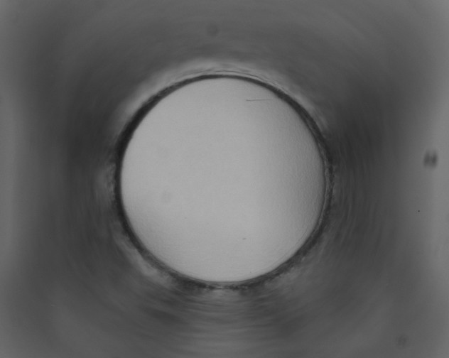 X0000089441503200707131855