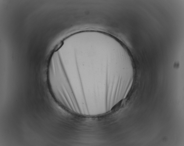 X0000089441504200707131855