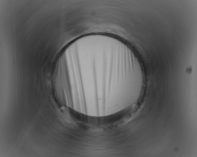 X0000089441505200707131855