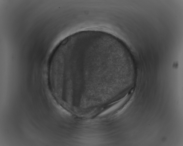 X0000089441506200707131855