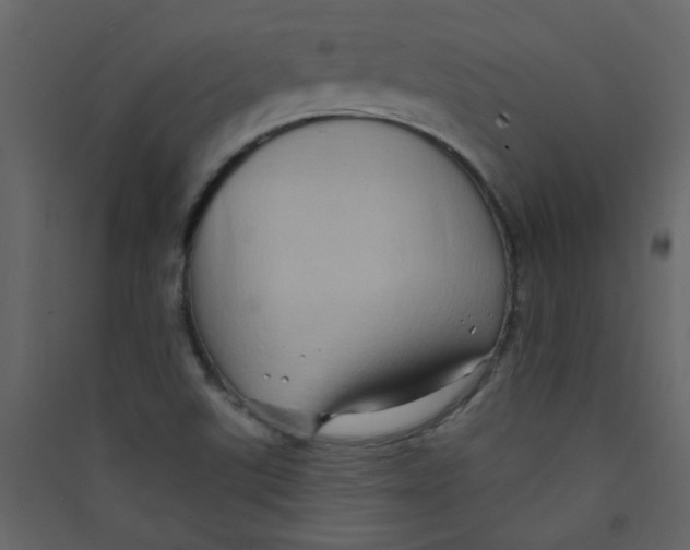 X0000089441507200707131855