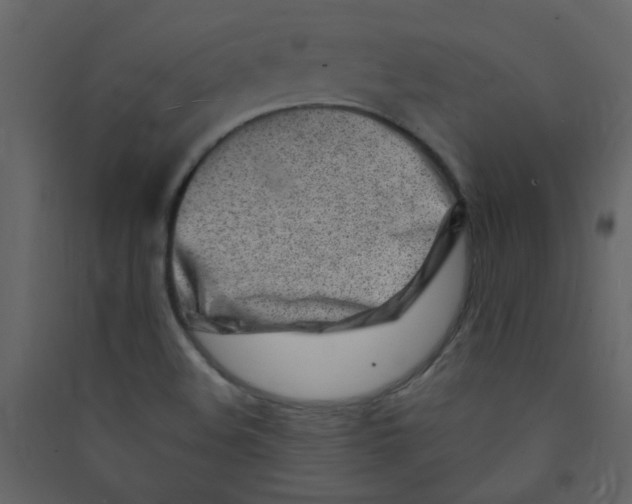 X0000089441508200707131855