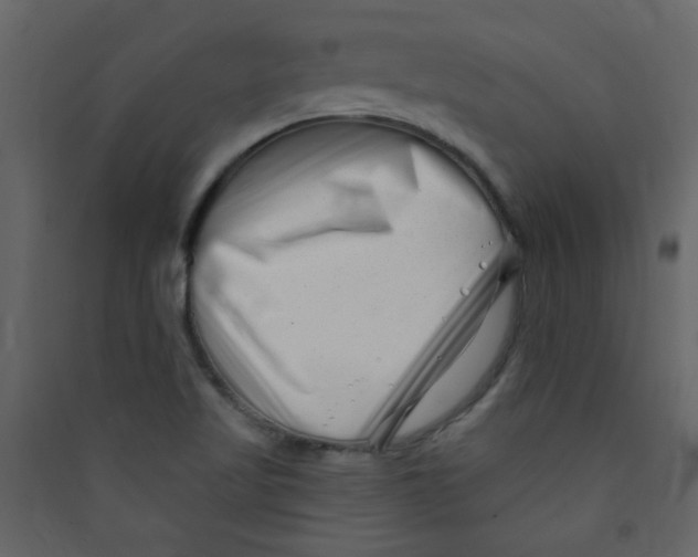 X0000089441509200707131855