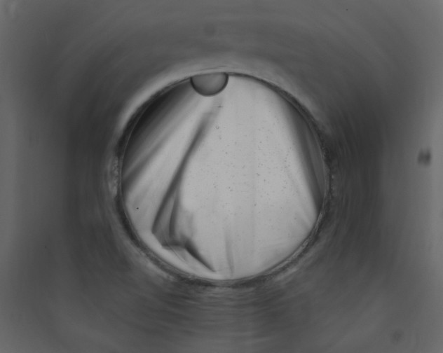 X0000089441510200707131855