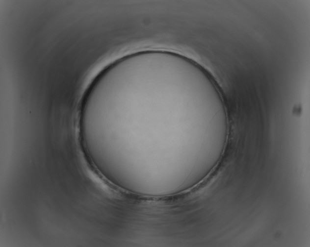 X0000089441511200707131855