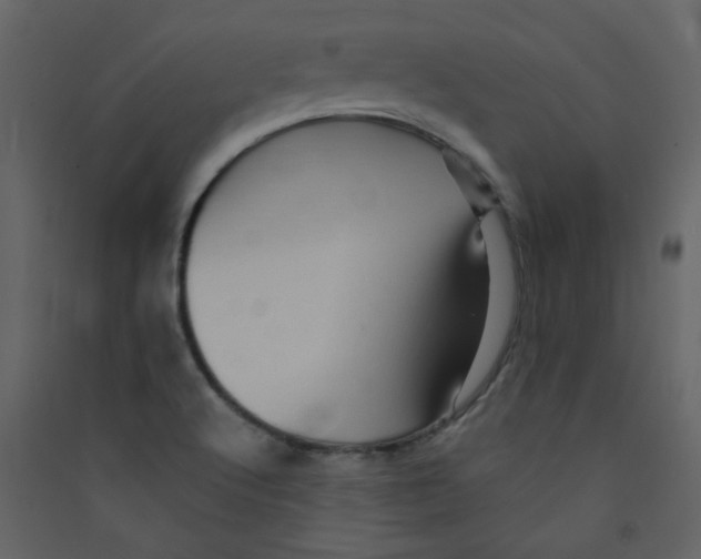 X0000089441512200707131855