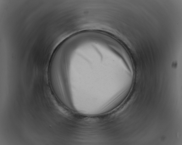 X0000089441513200707131855