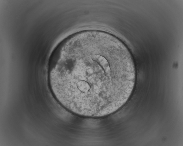 X0000089441514200707131855