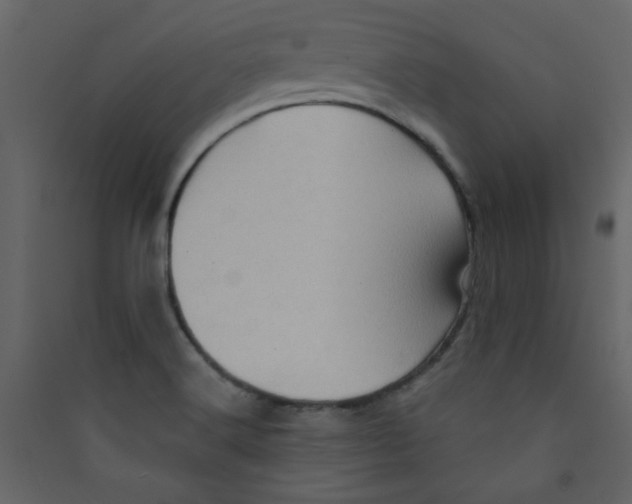 X0000089441516200707131855