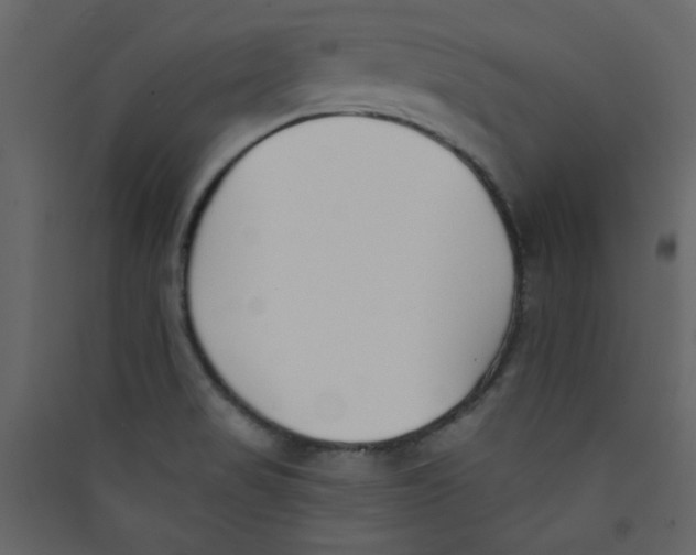 X0000089441517200707131855