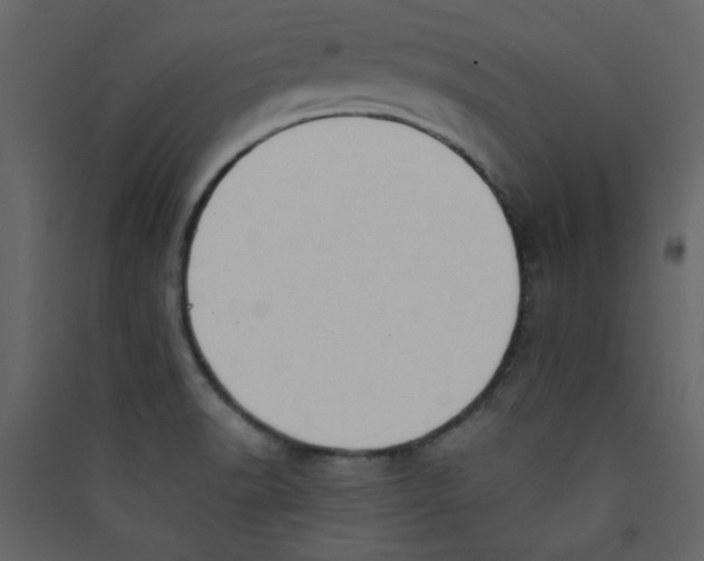 X0000089441518200707131855